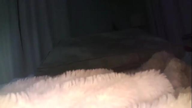Image 2 of hitek8223 Stream on Chaturbate on 13 months ago