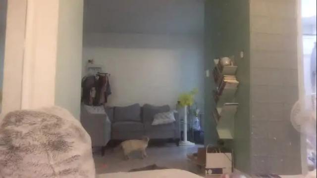 Image 2 of hoelottaasss Stream on Chaturbate on 14 months ago