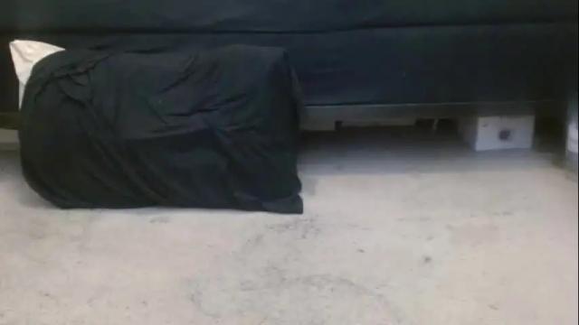 Image 10 of hollyhawkes Stream on Chaturbate on 2 days ago