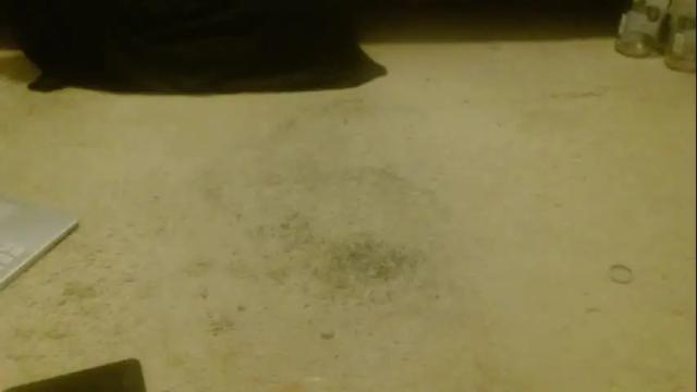 Image 8 of hollyhawkes Stream on Chaturbate on 2 months ago