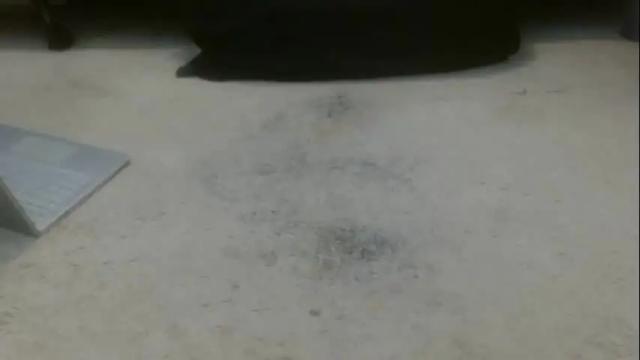 Image 8 of hollyhawkes Stream on Chaturbate on 1 month ago