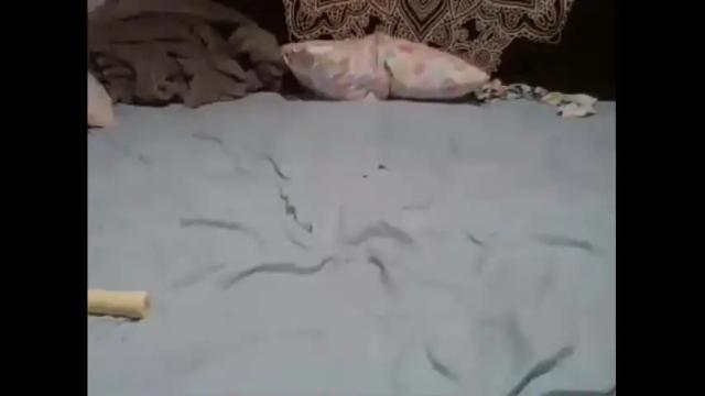 Image 12 of hollyheaven369 Stream on Chaturbate on 25 months ago