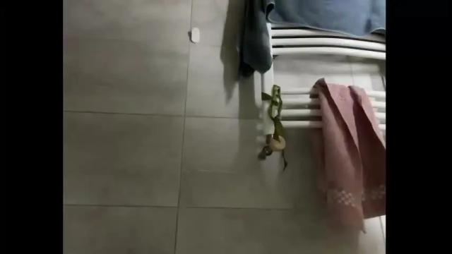 Image 6 of holydori Stream on Chaturbate on 1 month ago