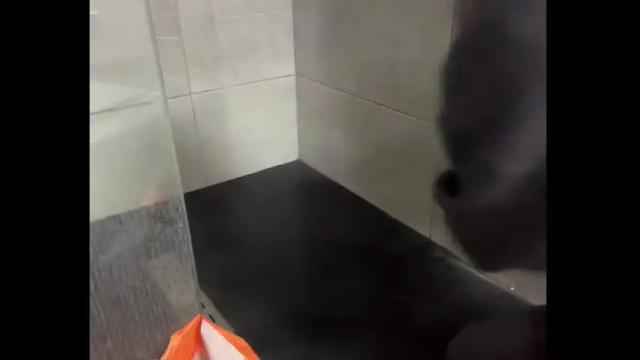 Image 2 of holydori Stream on Chaturbate on 24 days ago