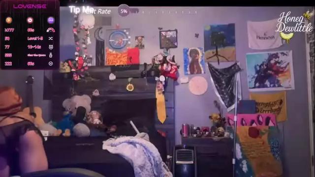 Image 3 of honeydewhigh Stream on Chaturbate on 1 month ago