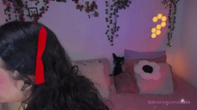 Image 3 of honeymoontea Stream on Chaturbate on 16 months ago