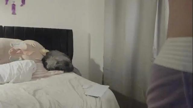 Image 4 of horny_zaid_69 Stream on Chaturbate on 12 days ago