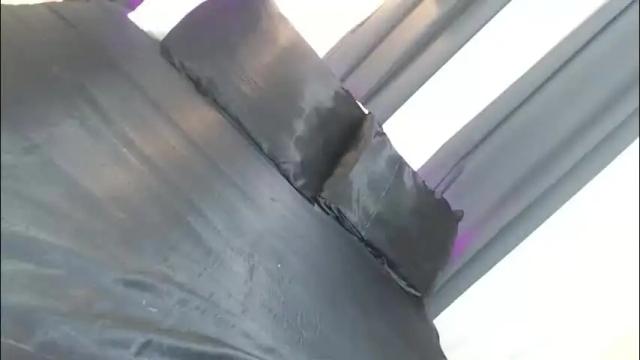 Image 12 of hornyangelts Stream on Chaturbate on 1 month ago