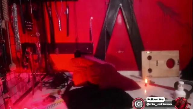Image 6 of hornydahiana Stream on Chaturbate on 1 month ago