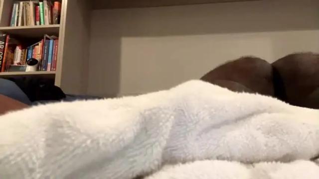 Image 12 of hornyftmguy82 Stream on Chaturbate on 22 months ago