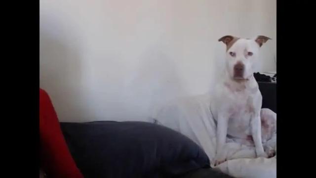 Image 2 of hornyssima Stream on Chaturbate on 23 months ago