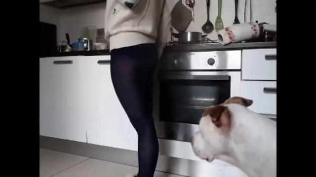 Image 4 of hornyssima Stream on Chaturbate on 21 months ago