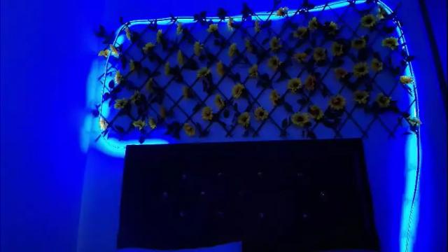 Image 11 of horus_at Stream on Chaturbate on 15 days ago