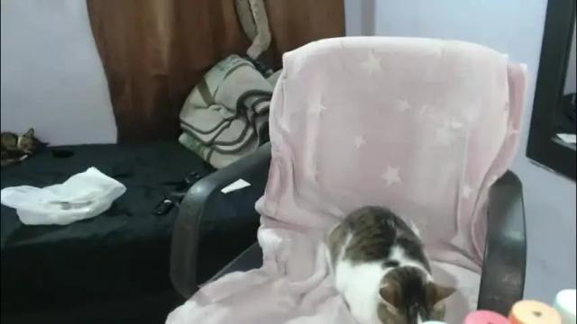 Thumbnail 2, hotandpower10's Stream at Chaturbate, 14 days ago