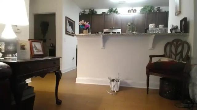 Thumbnail 2, hotblondemilf1962's Stream at Chaturbate, 14 days ago