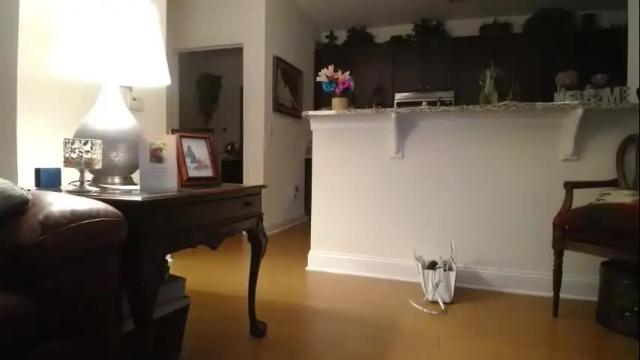Image 6 of hotblondemilf1962 Stream on Chaturbate on 14 days ago
