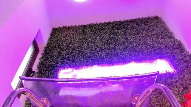 Image 7 of hotfallingdevil Stream on Chaturbate on 1 month ago