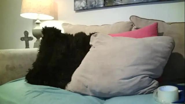 Image 12 of hotpepperrose Stream on Chaturbate on 1 month ago