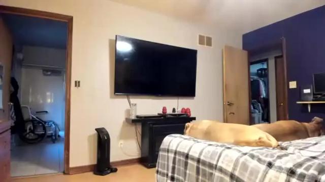 Image 2 of hotwheeler Stream on Chaturbate on 20 months ago