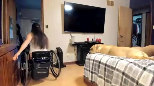 Image 3 of hotwheeler Stream on Chaturbate on 20 months ago