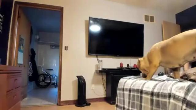 Image 4 of hotwheeler Stream on Chaturbate on 20 months ago