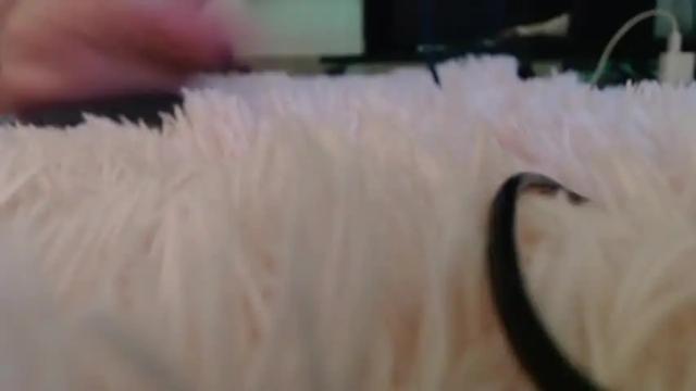 Image 7 of hotxlola Stream on Chaturbate on 15 months ago