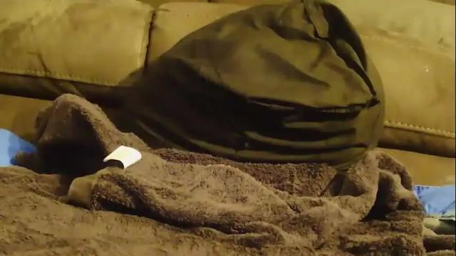 Image 2 of hugeftmdick Stream on Chaturbate on 29 days ago