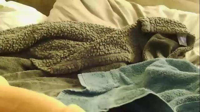 Image 8 of hugeftmdick Stream on Chaturbate on 1 month ago