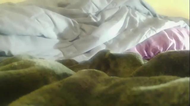 Image 3 of hugeftmdick Stream on Chaturbate on 2 months ago