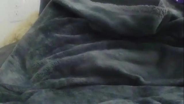Image 10 of hugeftmdick Stream on Chaturbate on 2 months ago