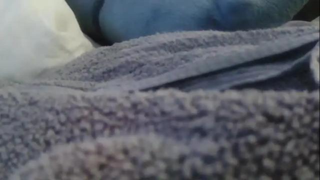 Image 11 of hugeftmdick Stream on Chaturbate on 2 months ago