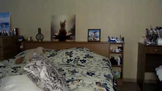 Thumbnail 2, hugetittiesgerda's Stream at Chaturbate, 1 month ago