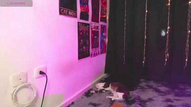 Image 10 of iammari_ Stream on Chaturbate on 13 months ago