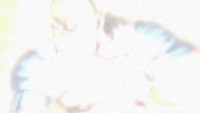 Image 3 of ileanacampbell Stream on Chaturbate on 13 months ago