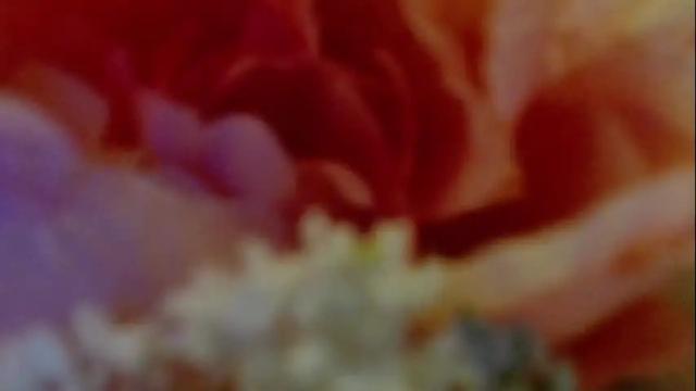 Thumbnail 2, imcarrieberry's Stream at Chaturbate, 1 month ago