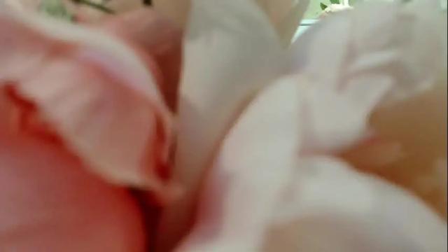 Image 11 of imcarrieberry Stream on Chaturbate on 15 days ago