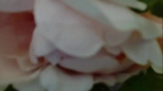 Image 8 of imcarrieberry Stream on Chaturbate on 1 month ago