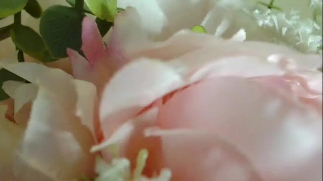 Image 11 of imcarrieberry Stream on Chaturbate on 1 month ago