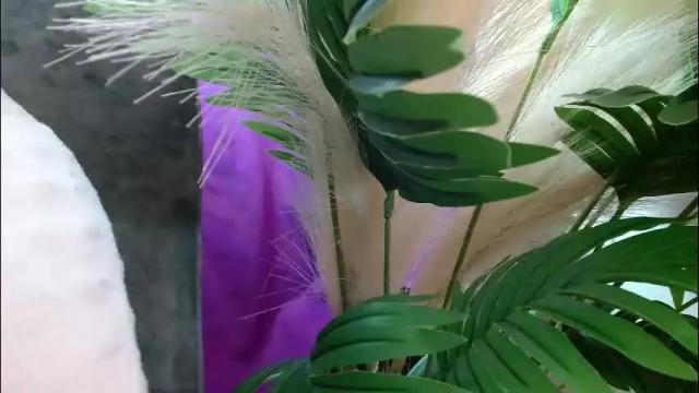 Image 4 of imcarrieberry Stream on Chaturbate on 2 months ago