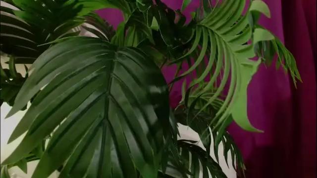 Image 6 of imcarrieberry Stream on Chaturbate on 1 month ago