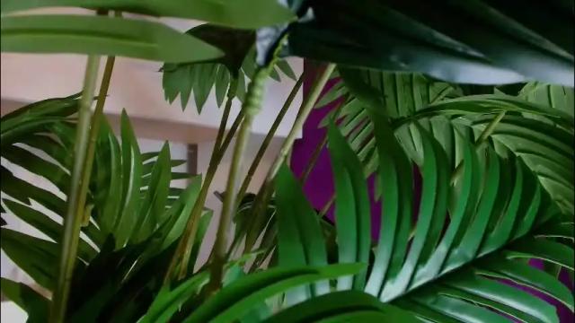 Thumbnail 2, imcarrieberry's Stream at Chaturbate, 1 month ago