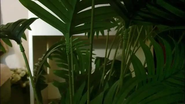 Image 4 of imcarrieberry Stream on Chaturbate on 1 month ago