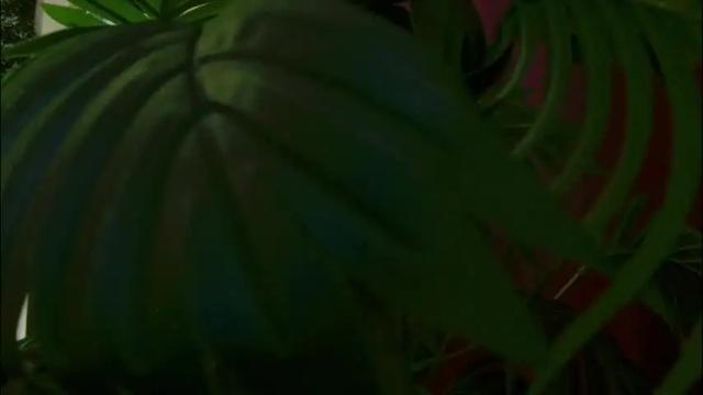 Thumbnail 2, imcarrieberry's Stream at Chaturbate, 13 days ago