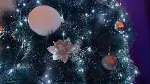 Image 3 of imcarrieberry Stream on Chaturbate on 13 days ago