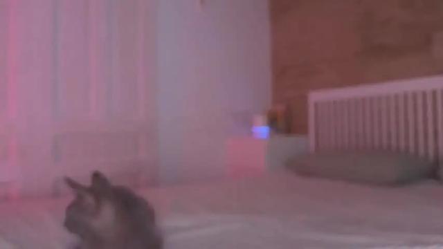 Image 7 of immature_babyy Stream on Chaturbate on 24 months ago