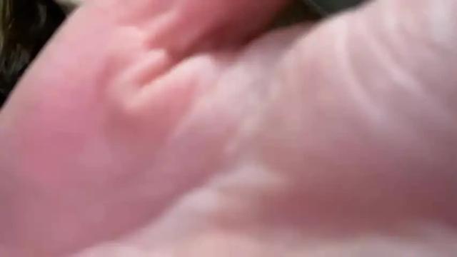 Image 4 of indiebroadcaster Stream on Chaturbate on 15 months ago