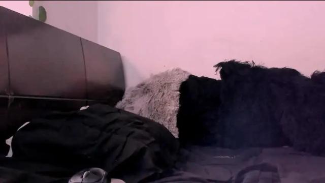 Image 6 of inkedoll Stream on Chaturbate on 13 months ago