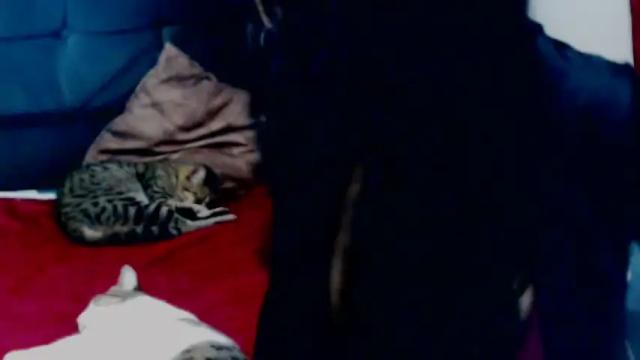 Image 11 of inouebleach Stream on Chaturbate on 10 days ago