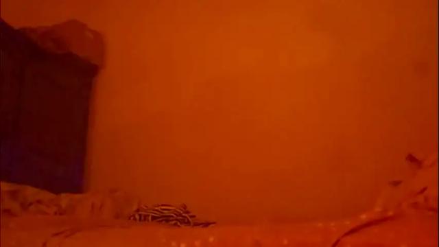 Image 11 of inthegrass Stream on Chaturbate on 13 days ago