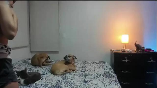 Thumbnail 2, isabelprietoo's Stream at Chaturbate, 8 days ago